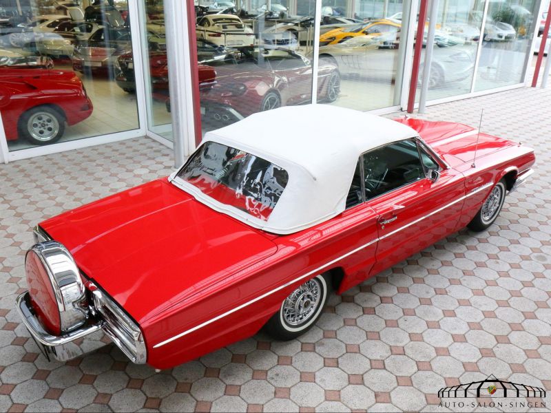 Ford Thunderbird Flair Bird