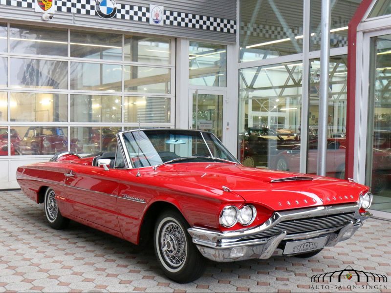 Ford Thunderbird Flair Bird