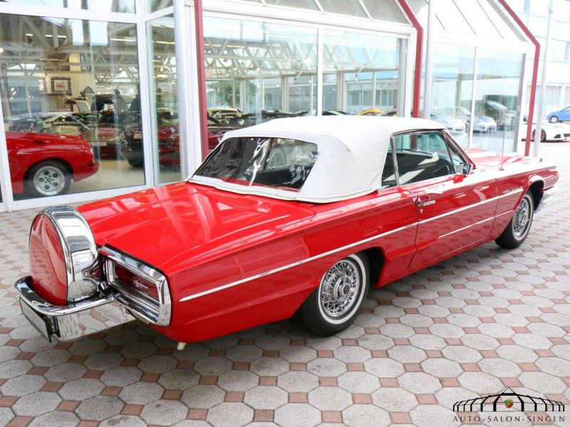 Ford Thunderbird Flair Bird