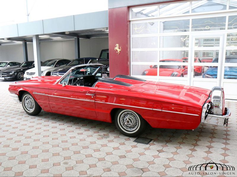 Ford Thunderbird Flair Bird