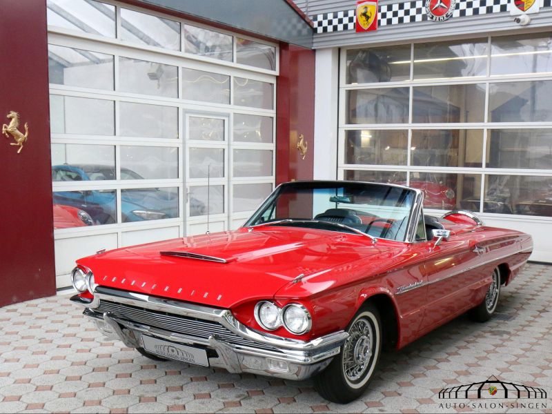 Ford Thunderbird Flair Bird