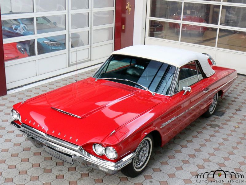 Ford Thunderbird Flair Bird